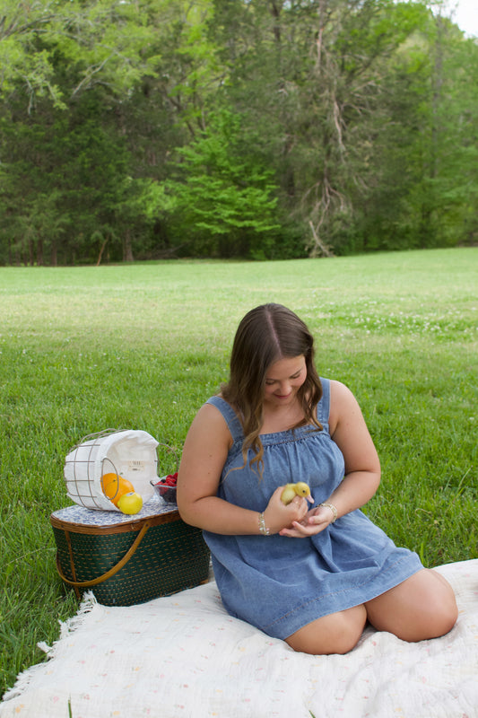 Charlotte Denim Dress