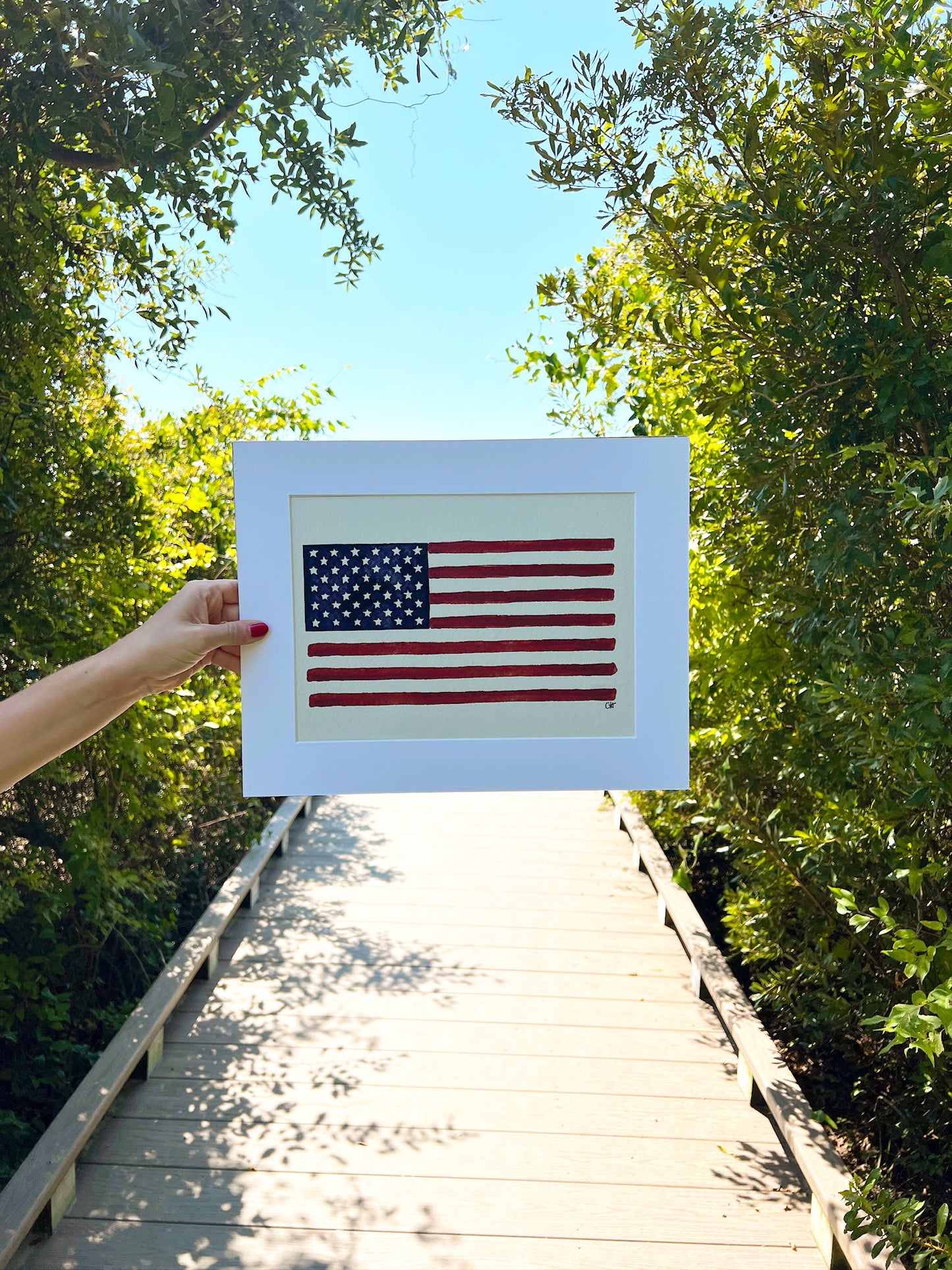 American Flag Print