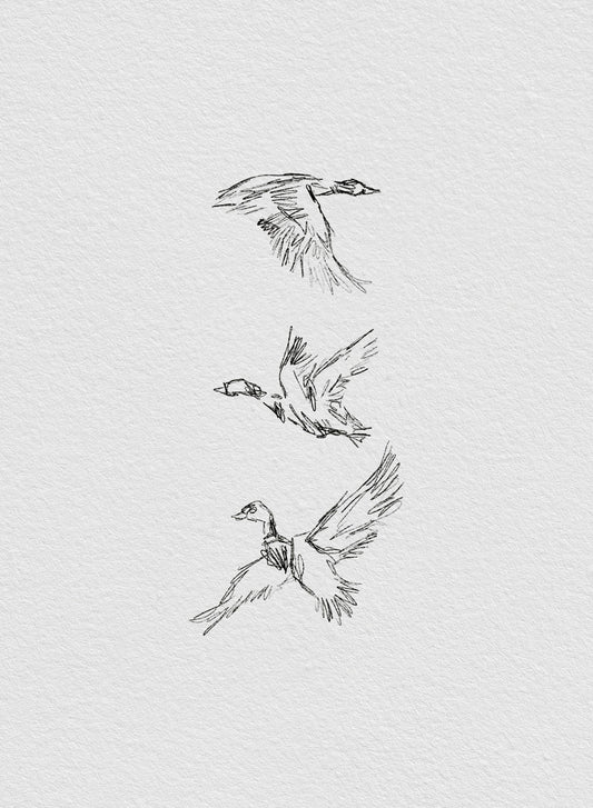 Flying Mallards Print