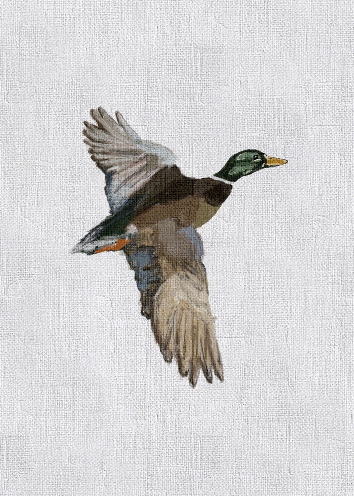 Mallard Print II