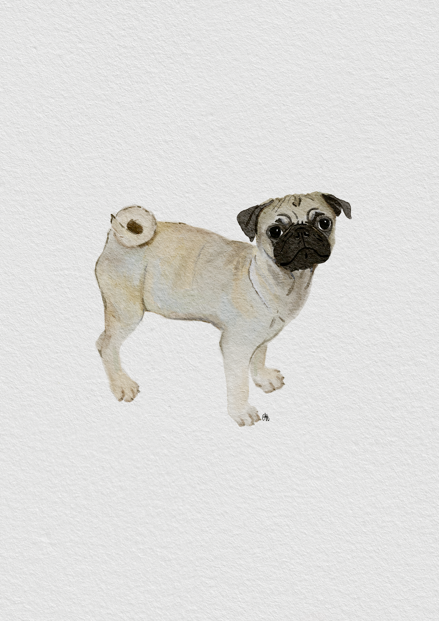 Custom Pet Portrait