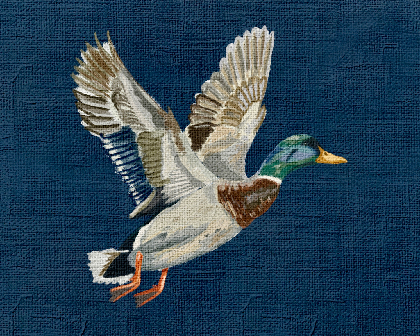 Mallard Print