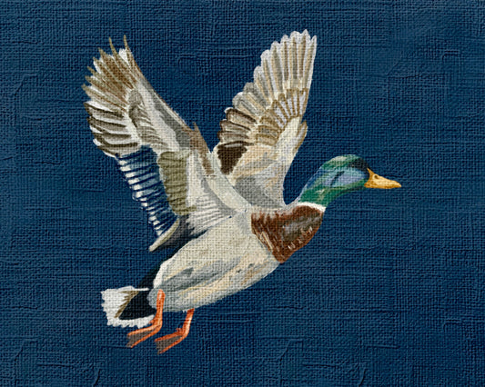 Mallard Print