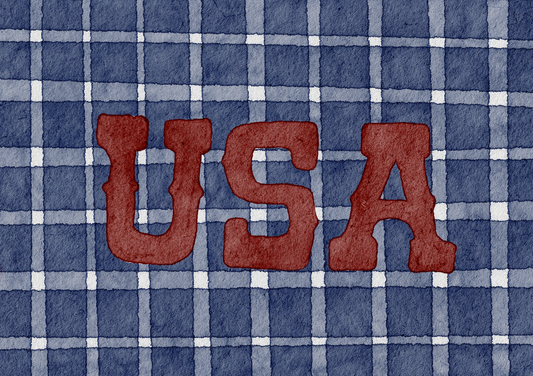USA gingham print