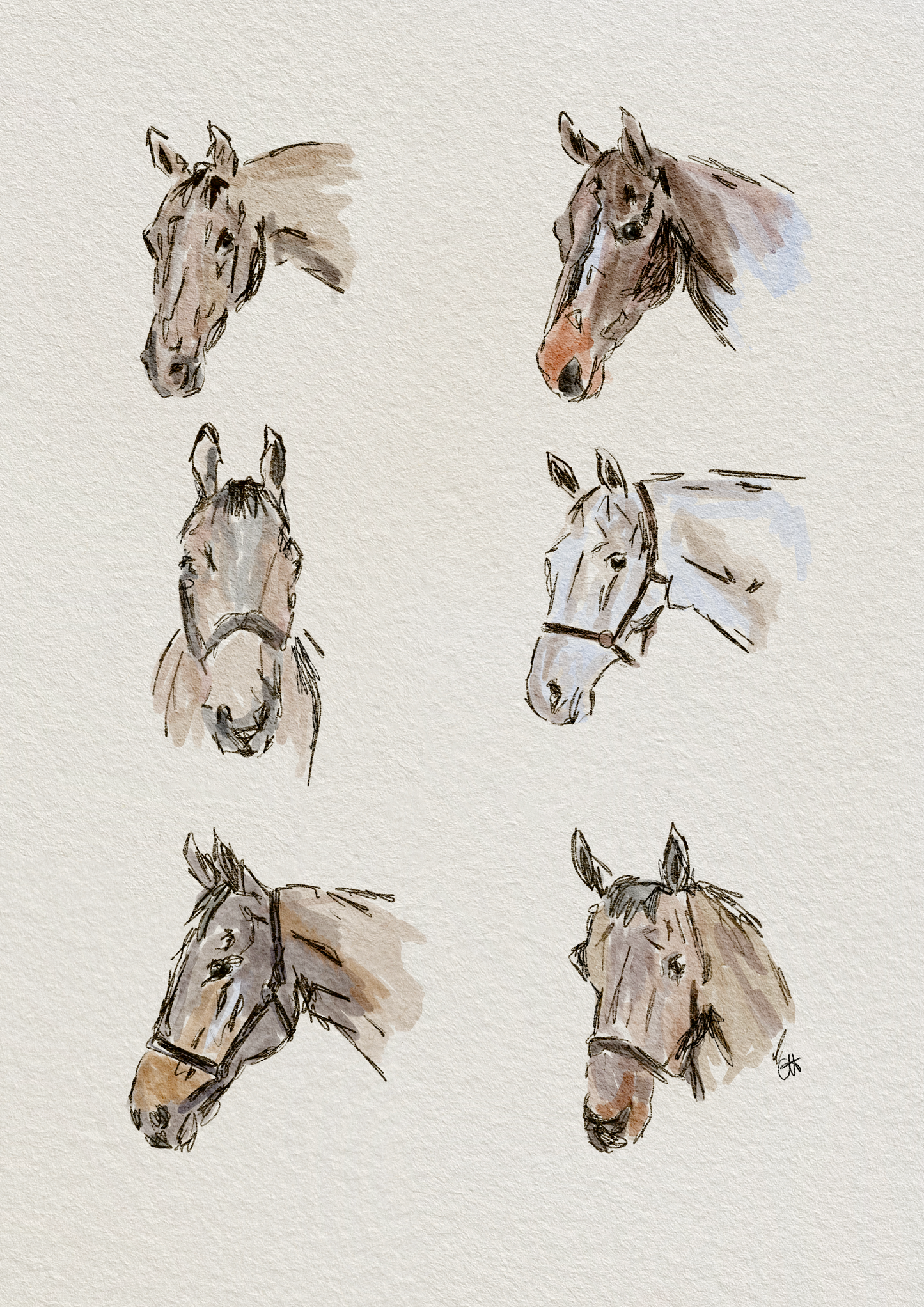 Horses Print