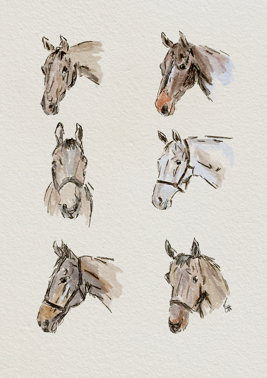 Horses Print