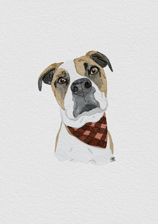 Custom Pet Portrait