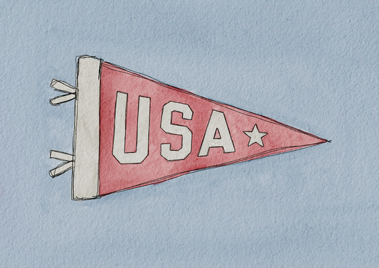 USA pennant print